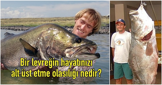 Deney Yapmak İçin Victoria Gölü'ne Bırakılan Bir Nil Levreğinin, Tanzanya Halkını Felakete Sürüklediğini Biliyor musunuz?