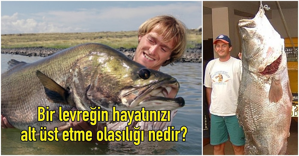 Deney Yapmak İçin Victoria Gölü'ne Bırakılan Bir Nil Levreğinin, Tanzanya Halkını Felakete Sürüklediğini Biliyor musunuz?