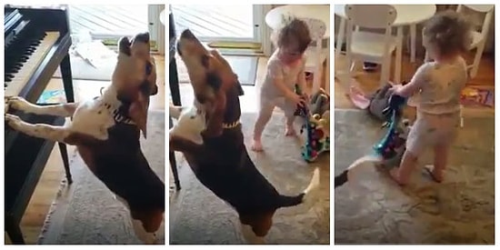 Böyle Tatlı Bir Parti Görmediniz: Minik Kız ile Köpeğin Eğlencenin Dibine Vurduğu Anlar