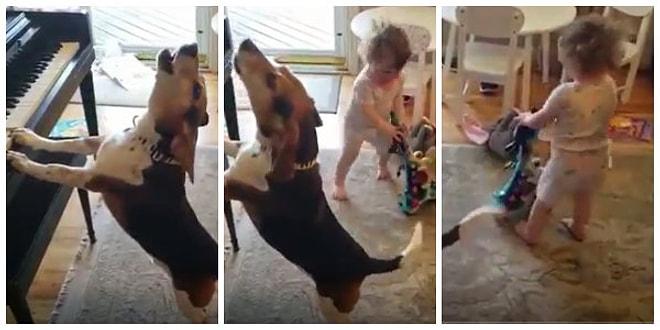 Böyle Tatlı Bir Parti Görmediniz: Minik Kız ile Köpeğin Eğlencenin Dibine Vurduğu Anlar