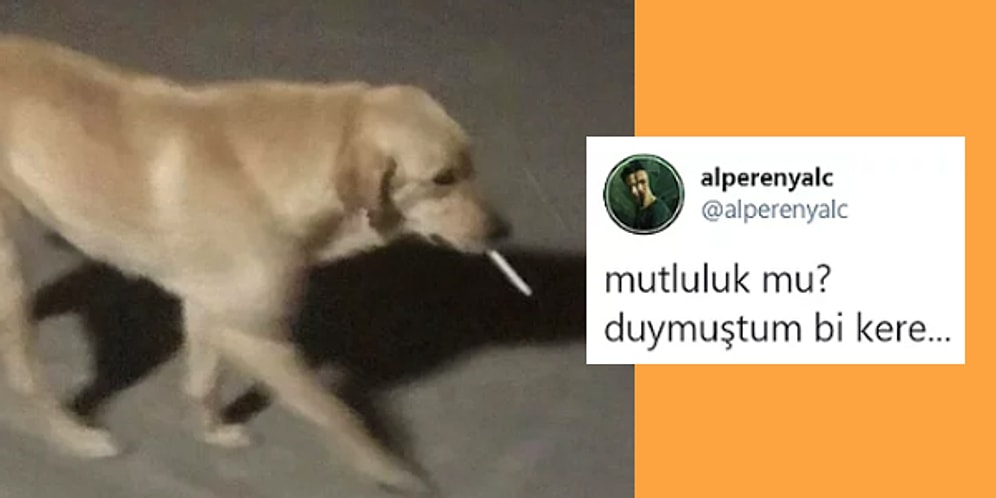 Aşırı Duygusal Hallerini Paylaşımlarına Yansıtarak Ağlanacak Haline Güldürmeyi Başarmış 10 Kişi