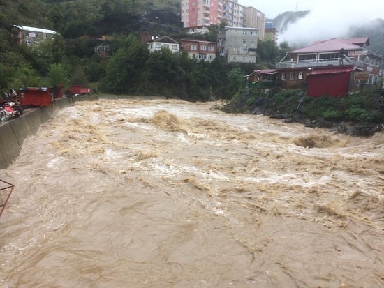 Artvin'de Sel: Dereler Taştı, Kamyonlar Sürüklendi, Yollar Kapandı