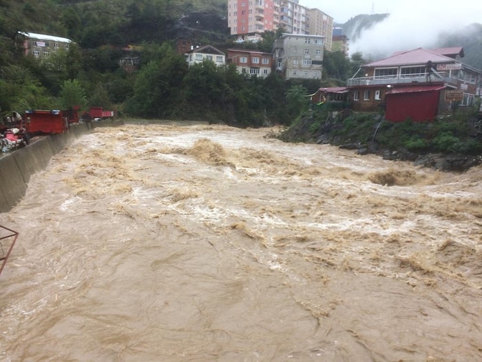 Artvin'de Sel: Dereler Taştı, Kamyonlar Sürüklendi, Yollar Kapandı