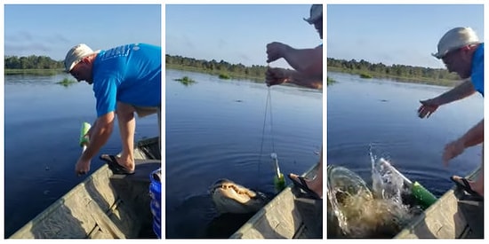 Balık Yakaladığını Sanıp Sevinirken Oltaya Bir Timsahın Takıldığını Gören Şanssız Balıkçı