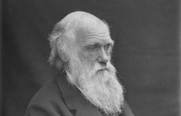 1836 - Charles Darwin, İngiliz Kraliyet Donanması'na ait HMS Beagle gemisi ile çıktığı, Brezilya, Galapagos Adaları ve Yeni Zelanda'yı kapsayan 5 yıllık gezisinden İngiltere'ye döndü. Bu çalışmaları, 1859'da yayımlayacağı Türlerin Kökeni adlı kitabının kaynağını oluşturdu.