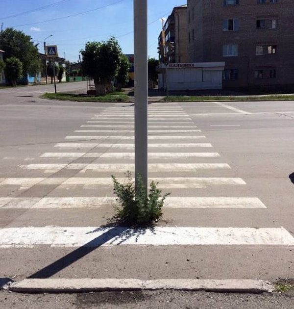 14. Доверься мне, я инженер :)