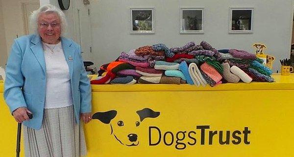 13. Bu 89 yaşındaki kadın barınaklardaki köpekler için 450'den fazla battaniye örmüş!