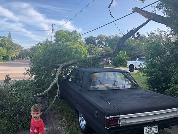 13. И еще несколько фотографий невероятного везения: