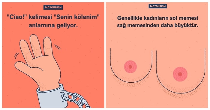 Geçmişten Günümüze Dünyamız ve Canlılar Hakkındaki İlginç Bilgileri İllüstrasyonlarla Anlatan Sanatçının Çalışmaları Sizi Çok Etkileyecek!
