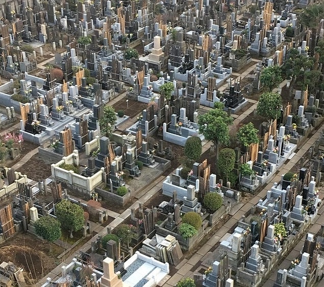 8. Bu mezarlık fotoğrafı sanki bir şehir manzarası gibi görünüyor. 🏙