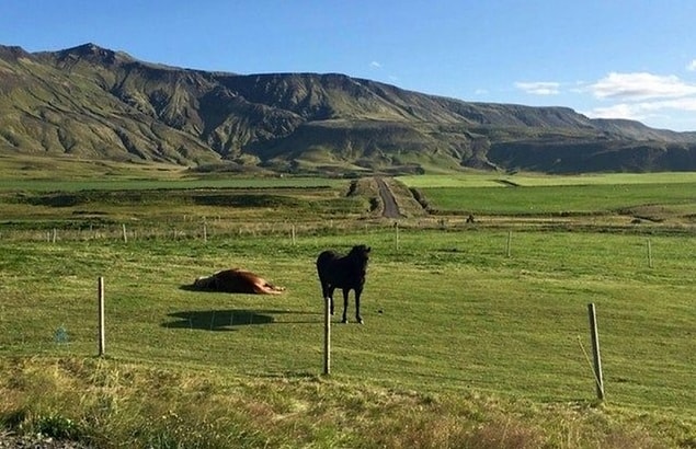 18. Havada durdum, şahitlerim var!? 🐴