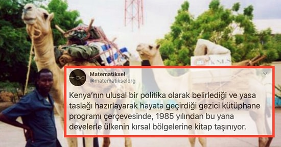 Bilgiyi Bir Sünger Gibi Emmek İsteyenlere Limon Kokulu Deterjan Ferahlığı Verecek 16 Esaslı Bilgi