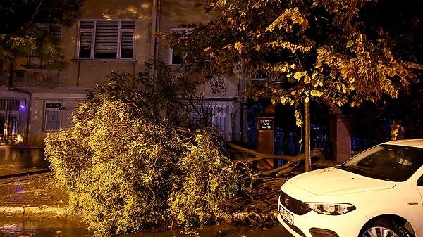 Bakırköy Şükran Çiftliği Sokağı'nda fırtına nedeniyle bir ağaç devrildi.