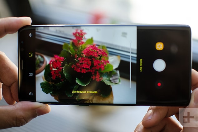 10. Birisi size bir fotoğrafa bakmanız için telefonunu uzattığında fotoğrafı sağa yahut sola kaydırmayın, hatta ekrana dokunmayın.