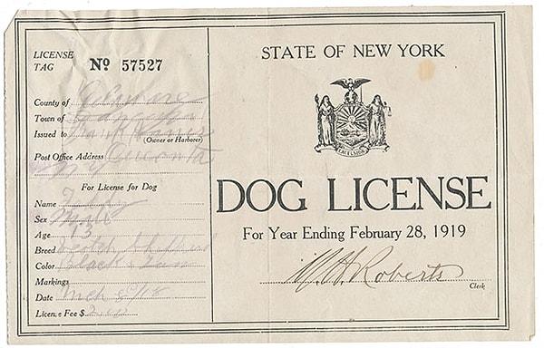 7. 1919 yılına ait bir köpek ruhsatı