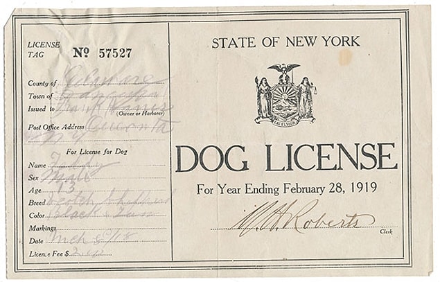 7. 1919 yılına ait bir köpek ruhsatı