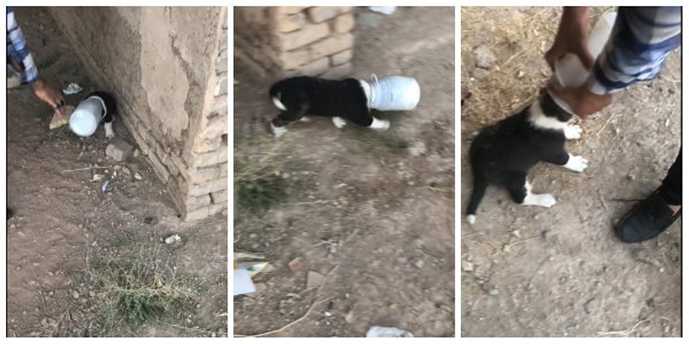 Doğaya Çöp Atarken İki Defa Düşünün! Kafasını Şişeye Sıkıştıran Minik Köpeğin Kurtarılma Anları
