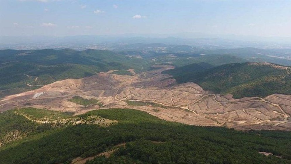Kaz Dağları İçin Yapılacak Büyük Miting İptal Edildi: 'Şimdi Mili Birlik ve Bütünlük Oluşturmak Gerek'
