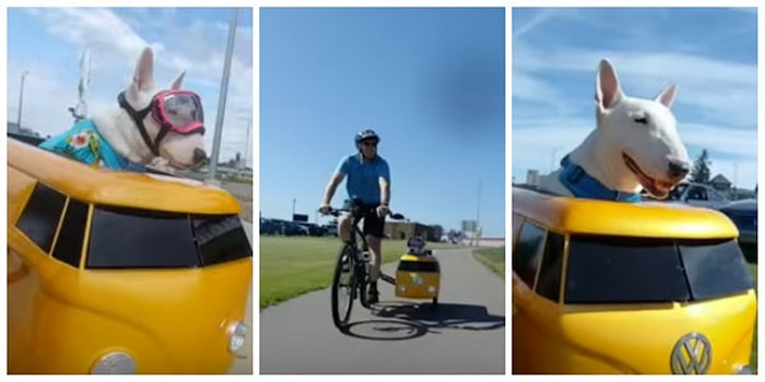 Sahibinin Bisikletine Ek Olarak Yaptığı Özel Aracın İçinde Gezintiye Çıkan Köpeğin Keyif Dolu Anları