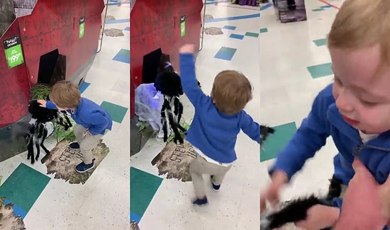 Sevdiği Sırada Hareketlenen Oyuncak Örümceğin Ağzını Burnunu Kıran Çocuk