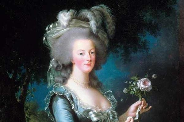 1793 - Fransız Devriminde vatan hainliği ile suçlanan Marie Antoinette giyotinle idam edildi.