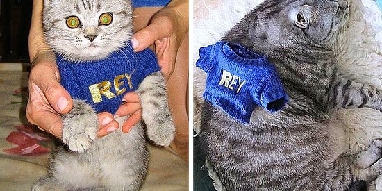 Durduk Yere Modunuzu Yükseltip Küçük Bir Mutluluk Yaşatacak Öncesi ve Sonrası Fotoğrafları