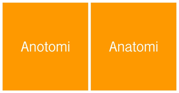 Bu Şaşırtmacalı Kelime Testinde Yalnızca Türkçe Profesörleri 15/15 Yapabilecek!