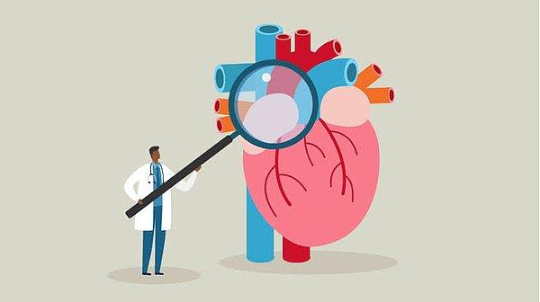 4. Kolesterolü düşürüyor ve kalp üzerindeki yükü azaltarak kalp sağlığında olumlu etkili yaratabiliyor.