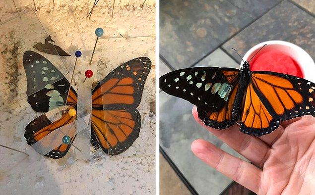 12. Bir kadın yaralı kelebekleri kurtarıyor. Onların yaralı kanatlarını iyileştirdikten sonra tekrar uçabiliyorlar.
