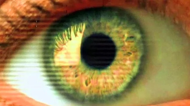 2. Zeitgeist (2007)