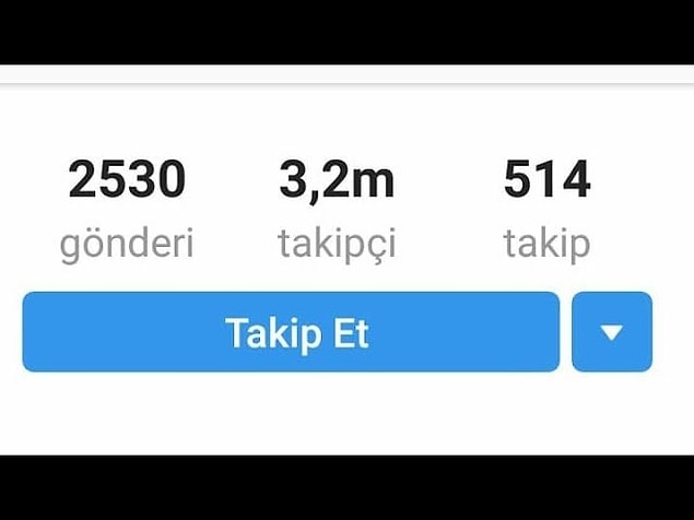 7. Son olarak, takipçi sayın ortalama kaç?