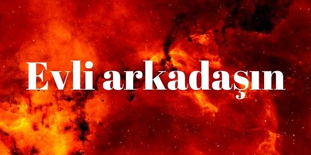 Oha diyebilirsin!