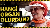 Bir Organ Olsaydınız, Hangi Organ Olurdunuz?