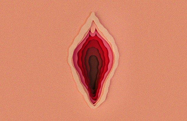 Hepimizin adını hayatta en az üç beş kere andığı meşhur klitoris, zannedildiği gibi vajinanın bir bölümü değil. İç dudakların en üst kısmında yer alan bir başka organ.