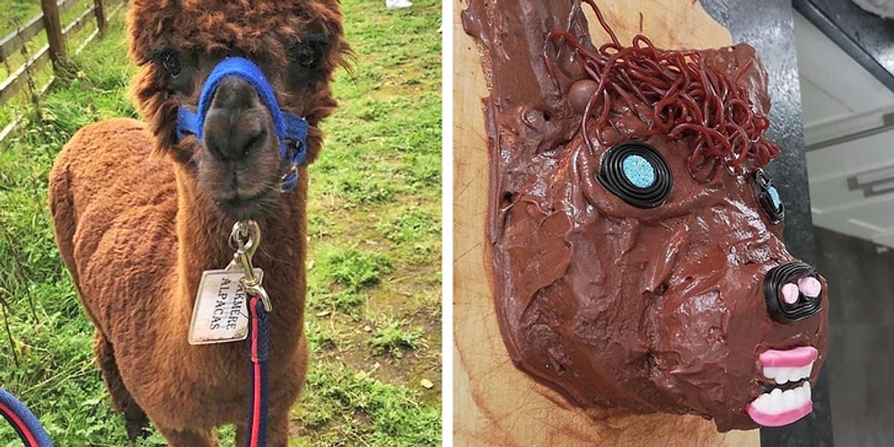 Hayatın Asla Planlandığı Gibi Gitmeyeceğini En Acı Şekilde Deneyimlemiş Talihsiz İnsalar