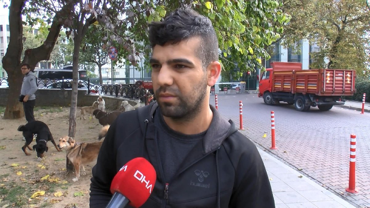köpek gezdiriciliği