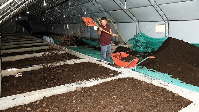 15 milyondan fazla solucanla yıllık 50 tonu bulan kapasiteyle üretim yapıyor