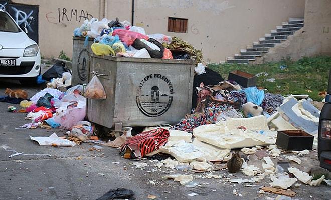 Maltepe Belediyesi'nin Temizlik İşçileri 3 Gündür Eylemde: Sokaklar Çöp İçinde