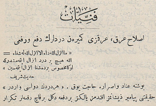 "Islah-ı ırk, ırkımızı kemiren dertlerin def' ve ref'i adlı bu makalede sivrisineklerin insan sağlığına verdiği zararlar ve sivrisineklerle mücadele yöntemleri anlatılıyor."