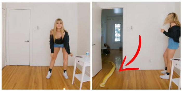 Yüksek Ses Müzikle Dans Eden Kızı 'Evcil' Hayvanı ile Trolleyen Ev Arkadaşı!