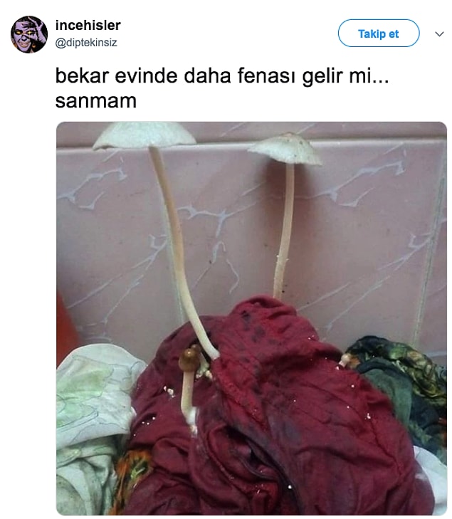 1. Yeteri kadar kenarda bekleyen kirli bir don, size doğanın bir takım mucizelerini gösterecektir.