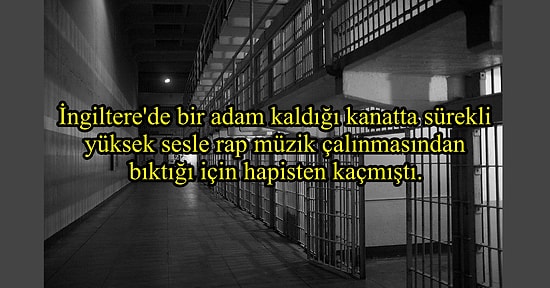 Acayip Bilgiler Kuşağında Bu Hafta: Anlamsızlıklarıyla Beyninizden Duman Çıkaracak 15 Garip Gerçek
