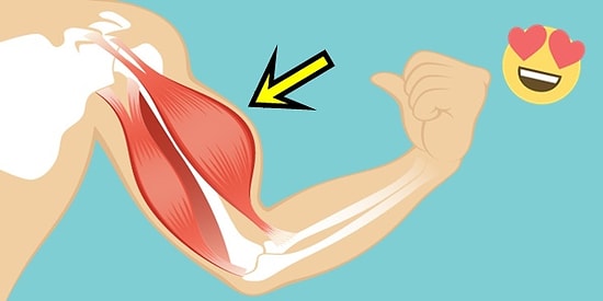 Kol Kaslarınızı Geliştirip Pazularınızı Dağ Gibi Ortaya Çıkaracak Ağırlık Kullanmadan Yapabileceğiniz Egzersizler
