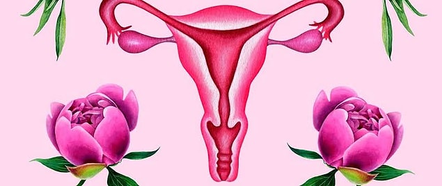4. Servikal mukus değişmeye başlar: