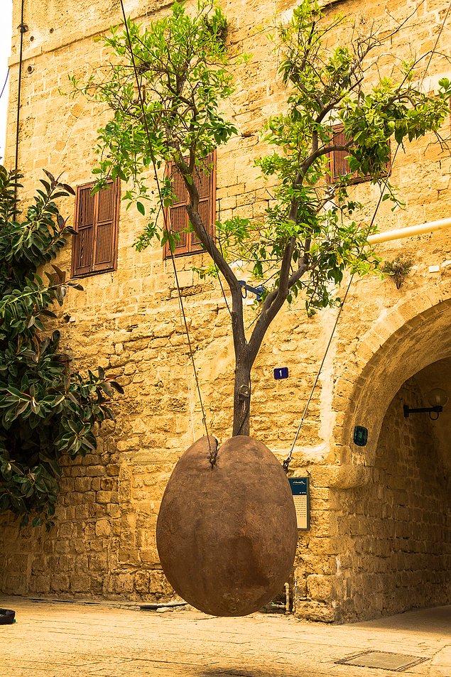 7. Asılı Portakal Ağacı, Tel Aviv