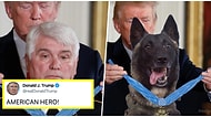 Donald Trump'ın Bağdadi'yi Yakalayan Köpeğe Photoshop ile Madalya Takması Sosyal Medyanın Gündeminde!
