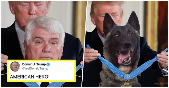 Donald Trump'ın Bağdadi'yi Yakalayan Köpeğe Photoshop ile Madalya Takması Sosyal Medyanın Gündeminde!