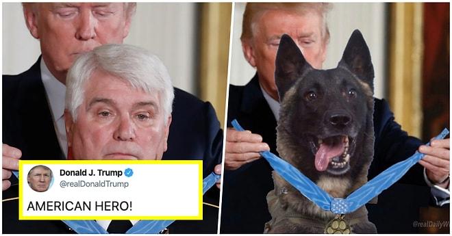 Donald Trump'ın Bağdadi'yi Yakalayan Köpeğe Photoshop ile Madalya Takması Sosyal Medyanın Gündeminde!
