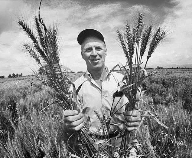 Norman Borlaug kadar fazla ödül kazanan çok az bilim insanı vardır. Sonuçta kaç bilim insanı dünya çağında bir milyardan fazla hayatı kurtarmıştır ki?