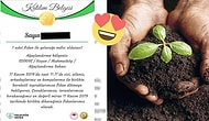 Geleceğe Nefes! Daha Yeşil Bir Türkiye İçin 81 İlde Aynı Anda 11 Milyon Fidan Dikiliyor